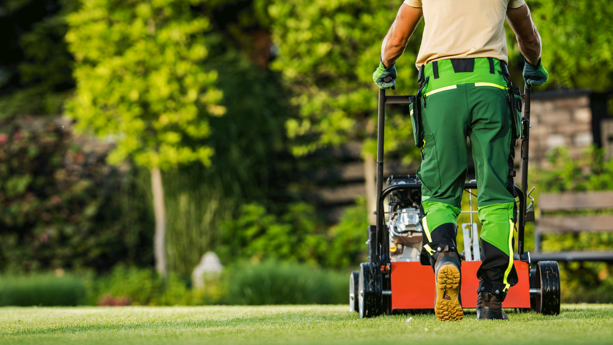 El servicio de jardinería ideal para empresas, instituciones y comunidades