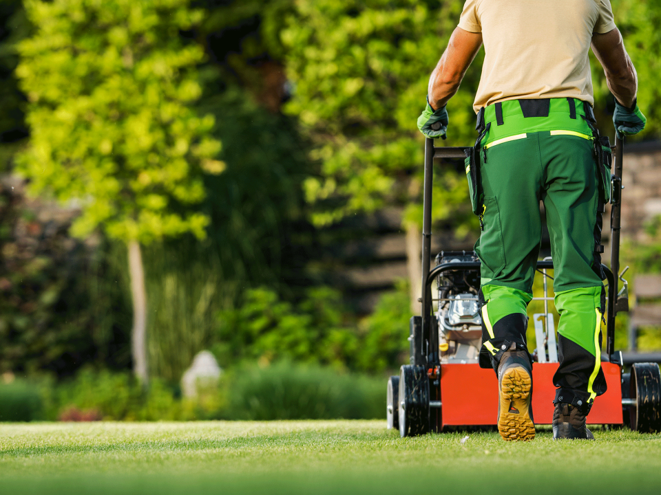 El servicio de jardinería ideal para empresas, instituciones y comunidades