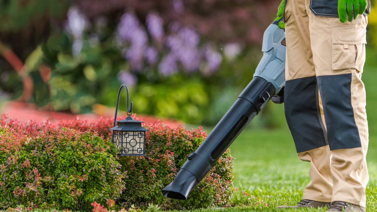 Prepara el jardín antes de la primavera