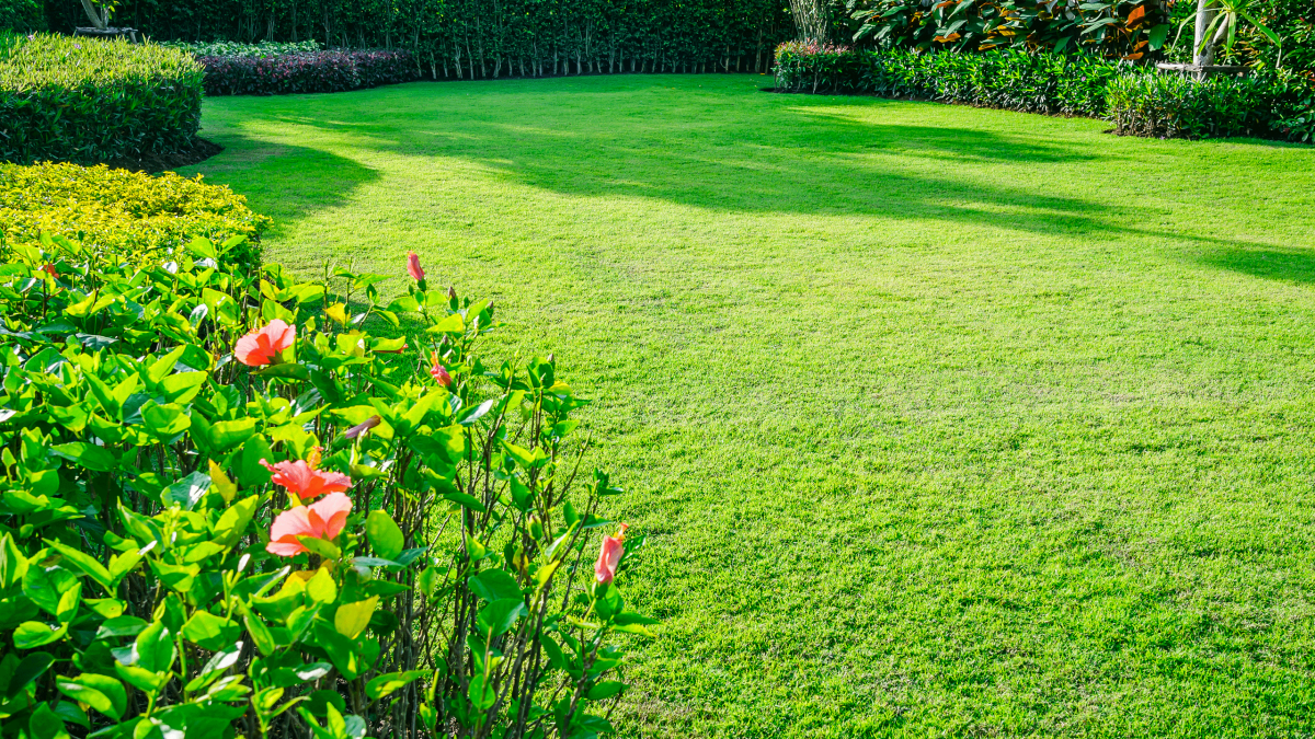 Trucos para mejorar la apariencia de tu jardín