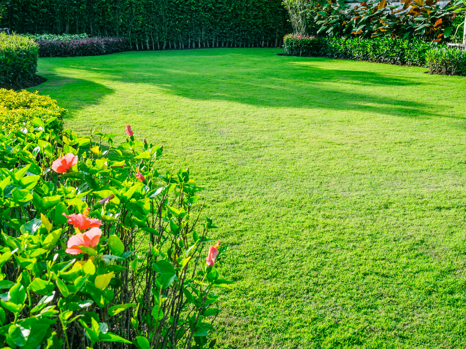 Trucos para mejorar la apariencia de tu jardín