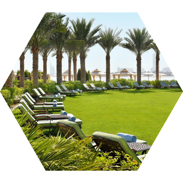 empresa de multiservicios