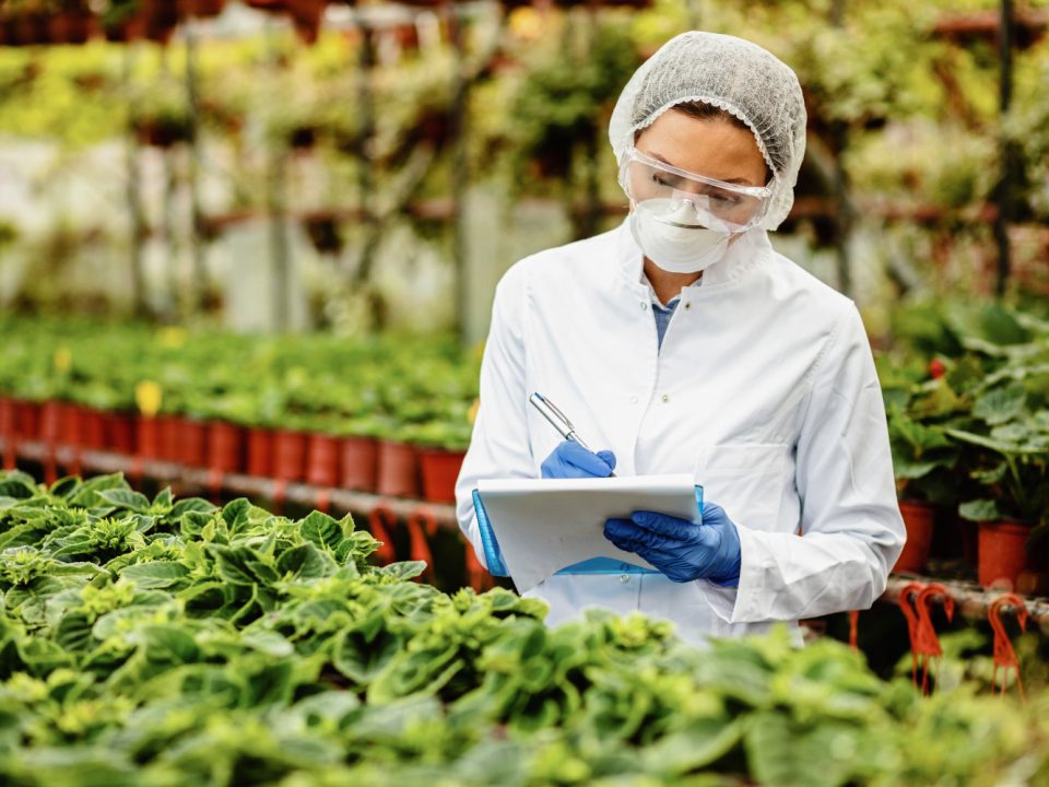 Limpieza industria agroalimentaria Málaga